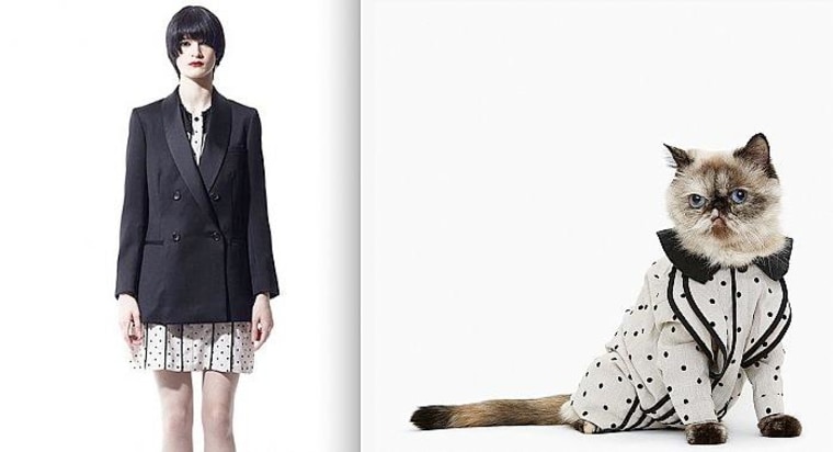 This really is copycat fashion! Now you can dress your feline in matching  designer outfits - but it could cost up to $1,000