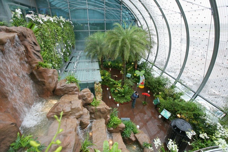 Singapore's Changi Airport boasts the world's first in-airport butterfly garden.