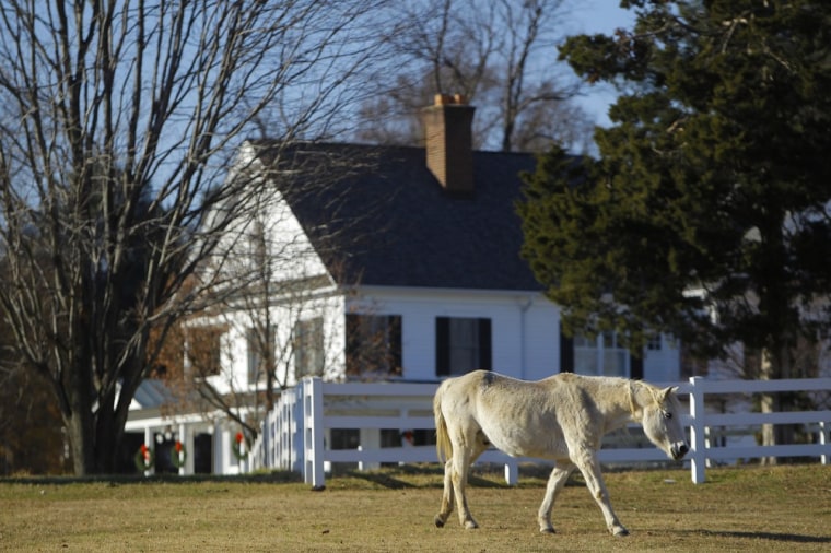 A horse grazes Nov. 29 on a large estate in Potomac, Md, one of the wealthier communities outside Washington, D.C.
