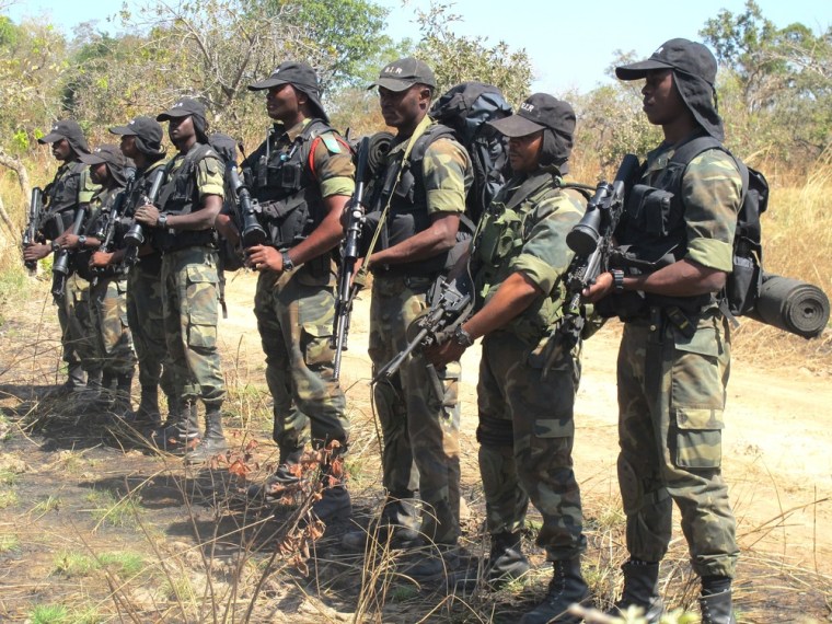 Cameroon army to take on machine-gun-toting elephant poachers
