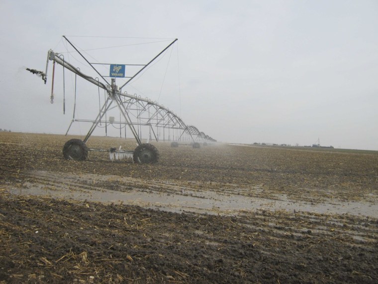 A sprinkler is in use near Dodge City, Kansas, November 26, 2012. Residents of the Great Plains over the last year or so have experienced storms reminiscent of the 1930s Dust Bowl. Experts say the new storms have been brought on by a combination of historic drought, a dwindling Ogallala Aquifer underground water supply, climate change and government farm programs. Picture taken November 26. REUTERS/Kevin Murphy (UNITED STATES - Tags: AGRICULTURE ENVIRONMENT)