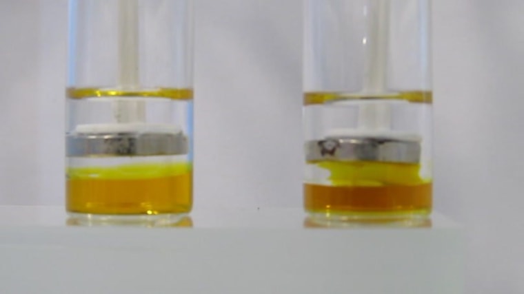 A magnet plunged into test tubes filled with soap under an organic solution. The soap on the right is magnetic. You can see how it is attracted to the magnet.
