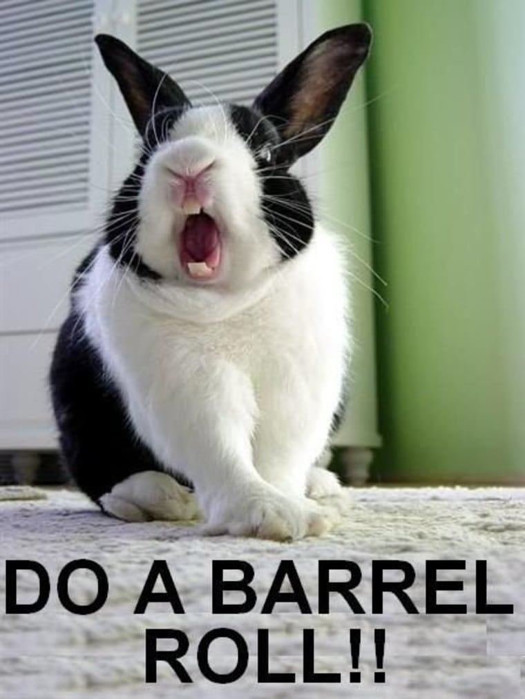 Do a barrel roll' meme hits Google