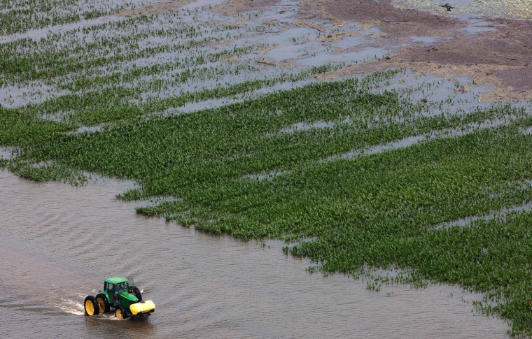 A farmer drives his tractor past a flooded field of corn near Yazoo City, Miss. on Saturday, May 21, 2011. Floodwaters from the Yazoo River continue to get deeper near Yazoo City, Miss. even as the Mississippi River is slowly falling, since it is still so high that water is backing up into its tributaries, especially the Yazoo River. (AP Photo/Dave Martin)