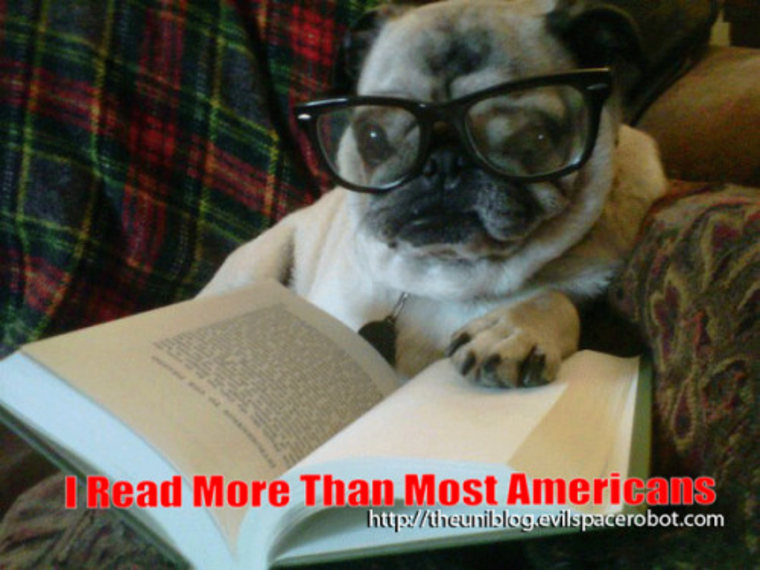 Altri Gadget – Nerd Pug