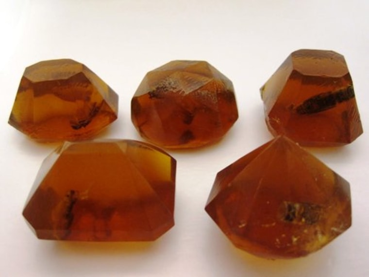 A Jell-O shot with bugs? These "Mesozoic" shots look like prehistoric bugs trapped in amber ... and contain real edible bugs.