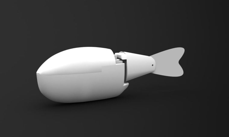 Image: Image of robot fish