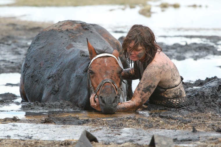 Feature Rates Apply.
Mandatory Credit: Photo by Newspix/Rex / Rex USA (989619d)
Nicole Graham comforts her 18-year-old horse 'Astro' as members of the Country Fire Authority (CFA) and the State Emergency Services (SES) attempt to free the 500kg horse
Horse rescued from thick mud at Avalon Beach in Geelong, Victoria, Australia - 26 Feb 2012
Saved from tidal terror

IT was a race against the tide that pulled at the heartstrings. For three hours yesterday, show horse Astro was stuck neck deep in thick mud at Avalon Beach on Corio Bay as the tide inched closer. Rescue crews first tried to pull the 18-year-old, 500kg horse free with fire hoses, and then a winch before a vet turned up to sedate Astro and pull him clear with a tractor. The crews knew by 5pm the tide would have come all the way in. But within minutes of the waters rising around him, Astro was being dragged up on to solid ground slowly but surely, the team filthy but ecstatic. Owner Nicole Graham (above) said she and daughter Paris, 7, set off