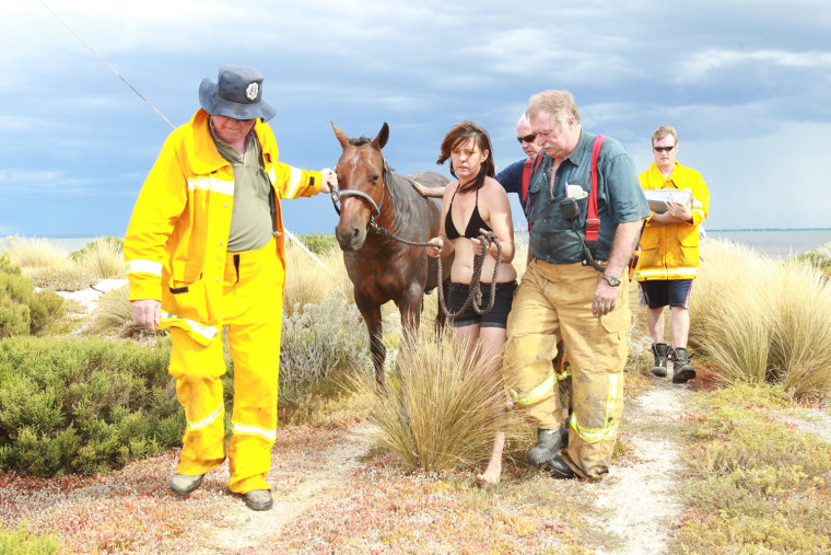 Feature Rates Apply.
Mandatory Credit: Photo by Newspix/Rex / Rex USA (989619p)
Nicole Graham leads her 18-year-old horse 'Astro' away from the beach after members of the Country Fire Authority (CFA) and the State Emergency Services (SES) successfully freed the 500kg horse after he became stuck
Horse rescued from thick mud at Avalon Beach in Geelong, Victoria, Australia - 26 Feb 2012
Saved from tidal terror

IT was a race against the tide that pulled at the heartstrings. For three hours yesterday, show horse Astro was stuck neck deep in thick mud at Avalon Beach on Corio Bay as the tide inched closer. Rescue crews first tried to pull the 18-year-old, 500kg horse free with fire hoses, and then a winch before a vet turned up to sedate Astro and pull him clear with a tractor. The crews knew by 5pm the tide would have come all the way in. But within minutes of the waters rising around him, Astro was being dragged up on to solid ground slowly but surely, the team filthy but ecstatic. Owner Nicole Graham (a