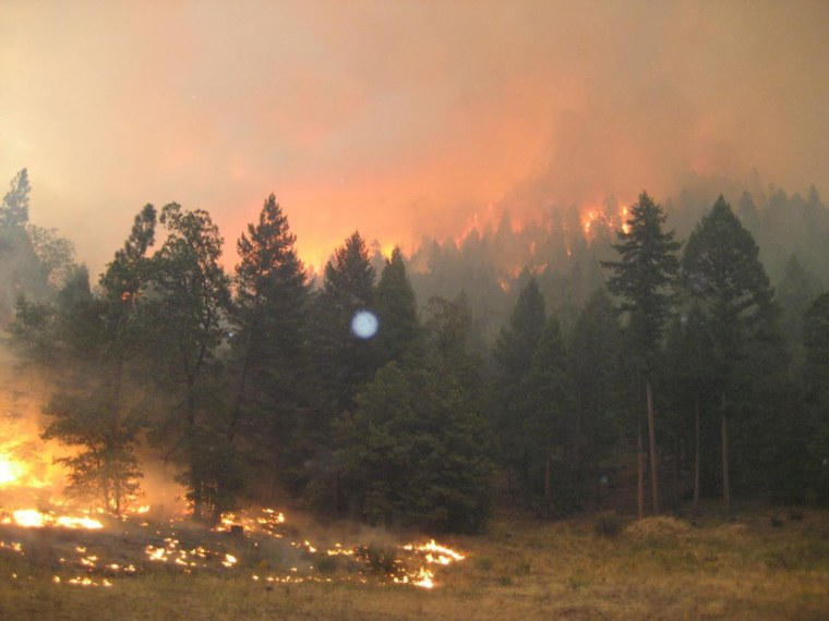 Logging company to pay record $122.5M in damages over 2007 California