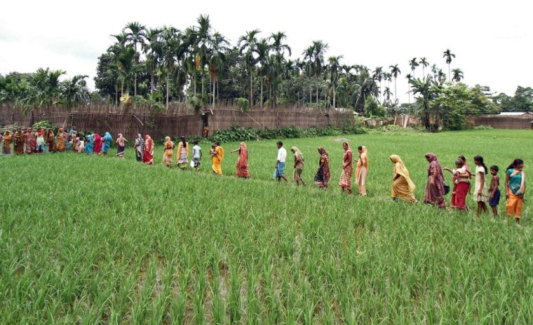 Villagers affected by ethnic riots walk through a paddy field to reach a relief camp near Bijni town in the northeastern Indian state of Assam on July 26.