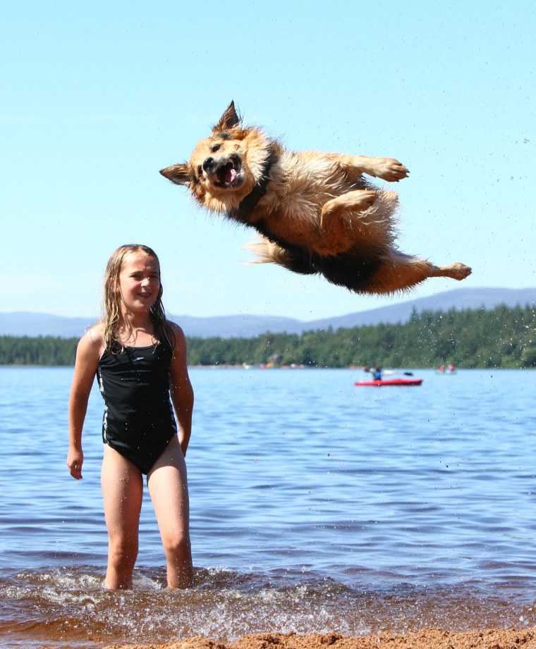 A young friend of the Clark Family watches their dog Blitzen at Loch Morlich, near Aviemore, Scotland on Jul 27, 2011.