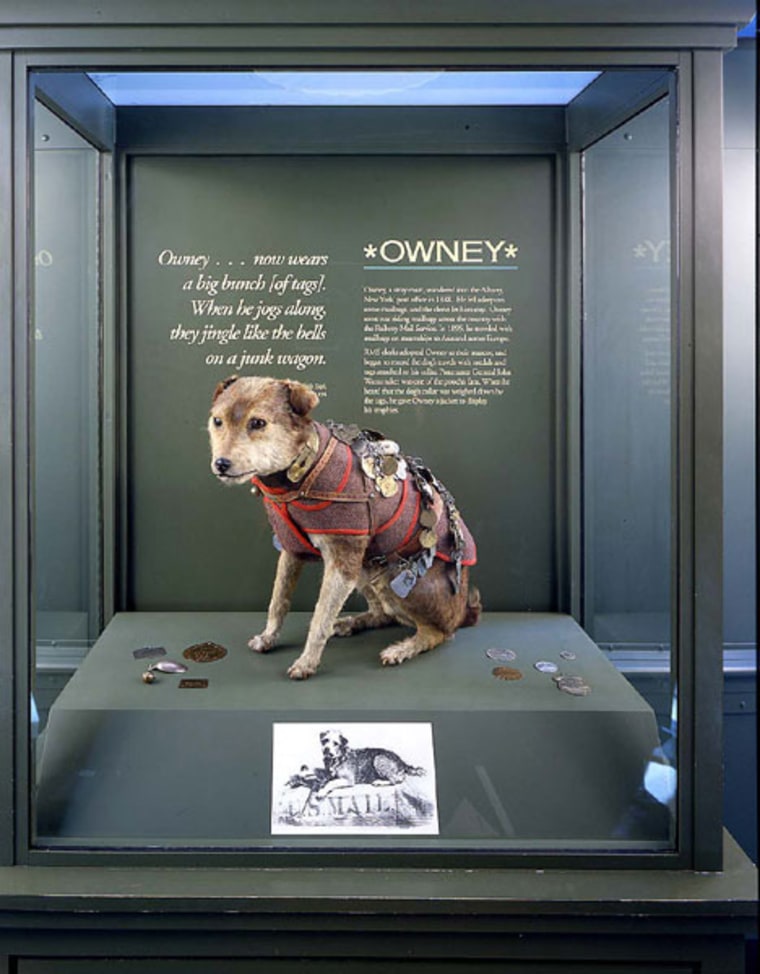 Legendary post office pup Owney honored with his own stamp