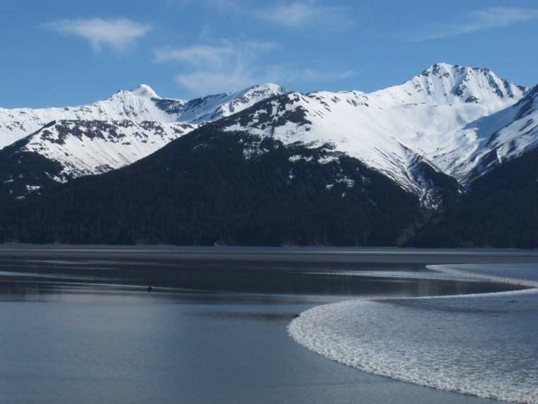 Kayakers ride tidal bore wave as it surges into Alaska's Turnagain Arm