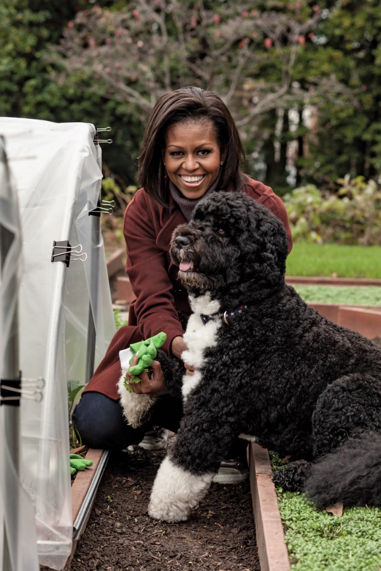 Bo likes to learn new tricks because he knows he'll be rewarded with a treat. According to Michelle, sometimes he gets so excited anticipating the treat he can barely do the trick.