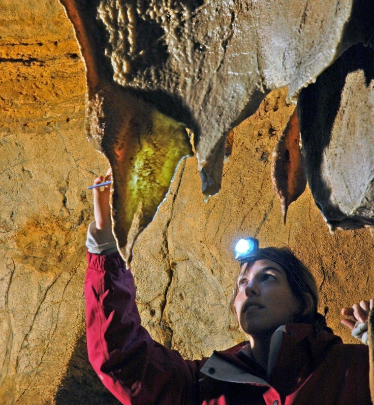 A researcher from the University of Bristol removes samples from Tito Bustillo Cave in Spain. The stalactite is painted with a red figure that dates back 29,000 to 36,000 years.