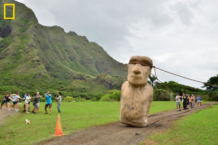 Three teams, one on each side and one in the back, maneuver an Easter Island statue replica down a road in Hawaii, hinting that prehistoric farmers who didn't have the wheel may have transported these statues in this manner. The experiment was led by archaeologists Terry Hunt and Carl Lipo and is reported in the July issue of National Geographic magazine.