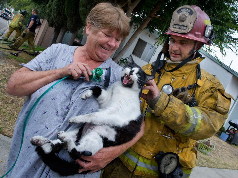 Garden Grove Fire Department Captain Albert Acosta checks on the welfare of a cat named Magic, as Magic's owner Norma Arbotast finishes the cat's oxygen treatment on Thursday.