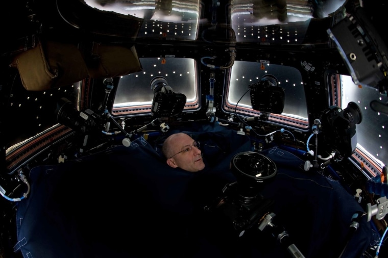 Pettit in ISS cupola