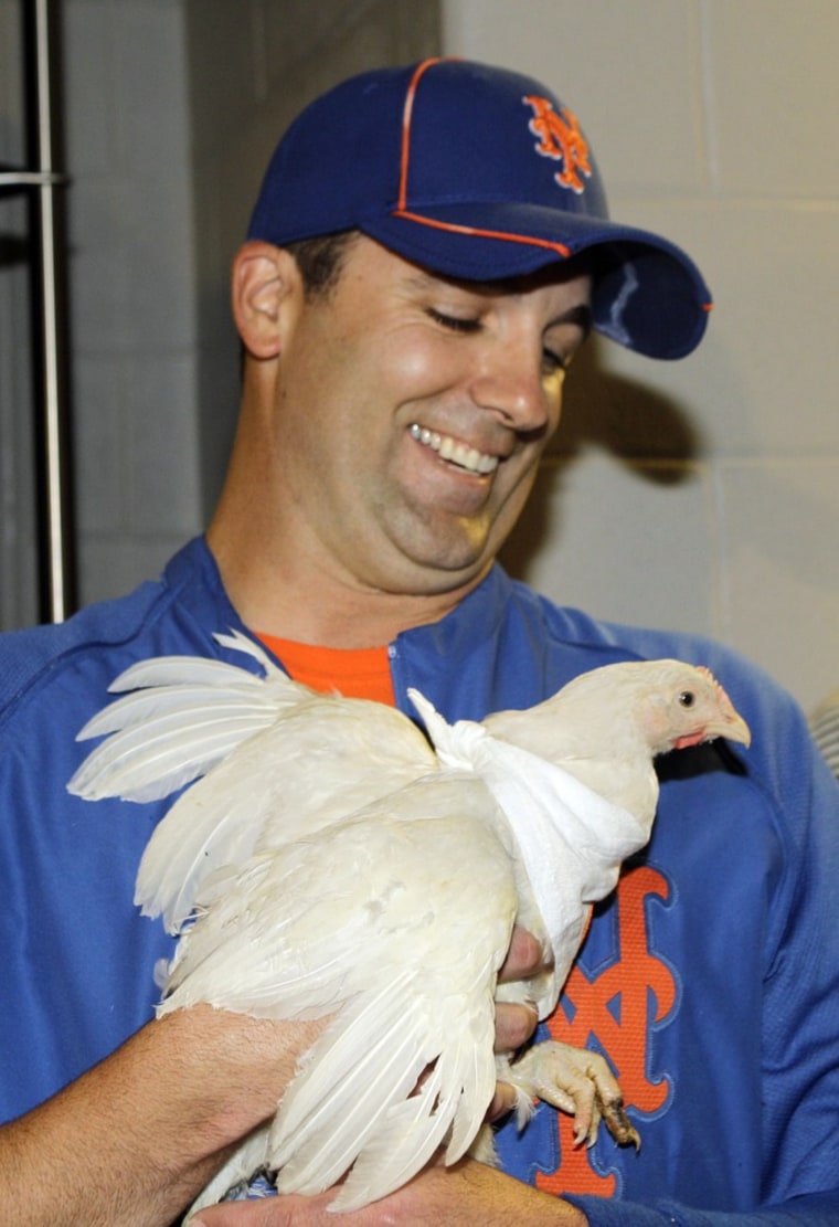 New York Mets relief pitcher Tim Byrdak holds Little Jerry Seinfeld, the chicken he brought into the clubhouse last week.