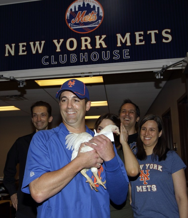 Who wouldn't want a mascot chicken to use to mock your opponents? Though we're sure Little Jerry Seinfeld will enjoy the farm more than a crowded clubhouse.