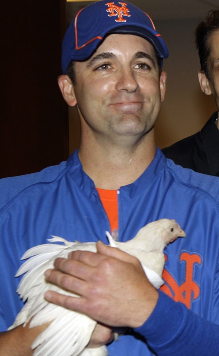 Meet the Mets, meet the Mets...chicken?