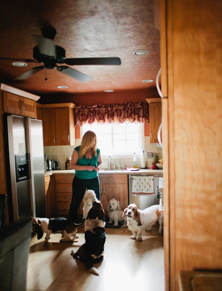 Dogs on vacation at a home in Garden Grove, Calif., join Noodle, the resident basset hound, in the kitchen.