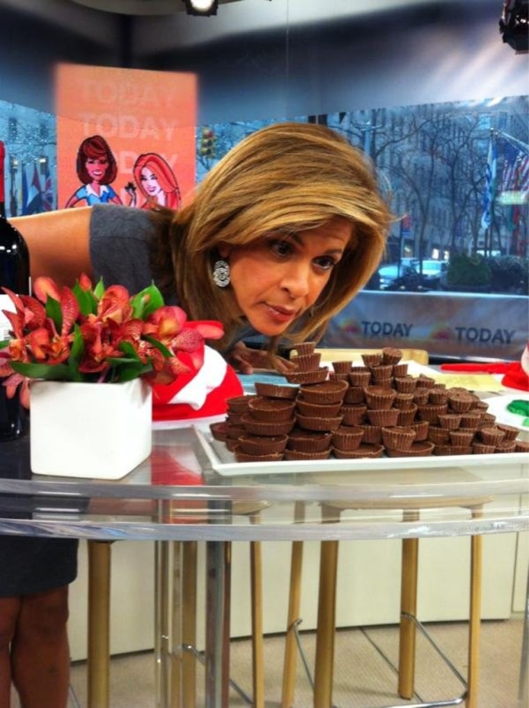 @hodakotb taking #ToucanSam wise advice and - following her nose.