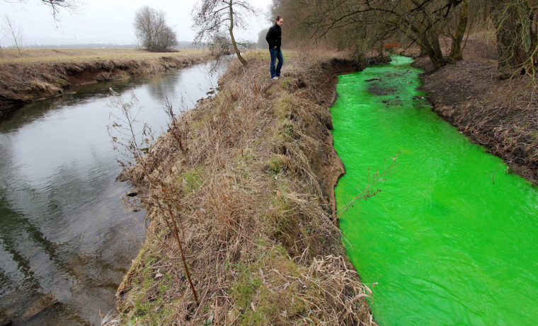 epa03129473 A young man stands between two streams in Goettingen, central Germany 2 March 2012 but there is a marked difference in their appearance. On the right is a green coloured stream which is the result of released chemicals due to a fire at a storage facility nearby and flushed into the stream by water used to extinguish the fire. According to police, the chemicals were harmless. EPA/STEFAN RAMPFEL