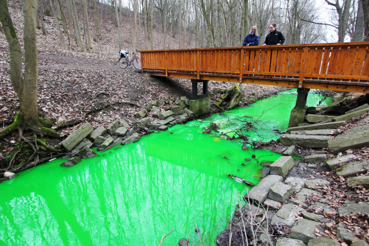 Strollers look at the green colored Grone creek near Goettingen, central Germany, on March 2, 2012. After a fire of a storage building in Goettingen's industrial district, chemicals were released and arrived at the creek together with the fire fighting water. According to the police, the agents are unperilous. AFP PHOTO / STEFAN RAMPFEL GERMANY OUT (Photo credit should read STEFAN RAMPFEL/AFP/Getty Images)
