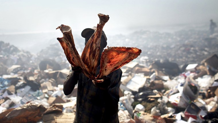 PORT-AU-PRINCE, HAITI - MARCH 07: A man holds up animal parts as he scavenges for recyclables and other usable items at the Trutier dump on the outskirts of Port-au-Prince, on March 7, 2012 in Port-au-Prince, Haiti. Following the devastating earthquake two years ago that killed and estimated 316,000 people, the number of scavengers at the landfill has grown from about 200 to an estimated 2,000. Much of Haiti is still in a crisis situation with tens of thousands living in tent camps in and around Port-au-Prince. A growing concern to international donors is a flare-up between ex-members of Haiti's armed forces and the current Haitian President Michel Martelly. (Photo by Spencer Platt/Getty Images)