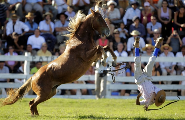 A gaucho is thrown off an untamed horse during the Patria Gaucha Festival in Tacuarembo, 400 km (249 miles) north of Montevideo, March 8, 2012. The festival celebrates the preservation of the country's rural traditions and country life. REUTERS/Andres Stapff (URUGUAY - Tags: SOCIETY TPX IMAGES OF THE DAY)