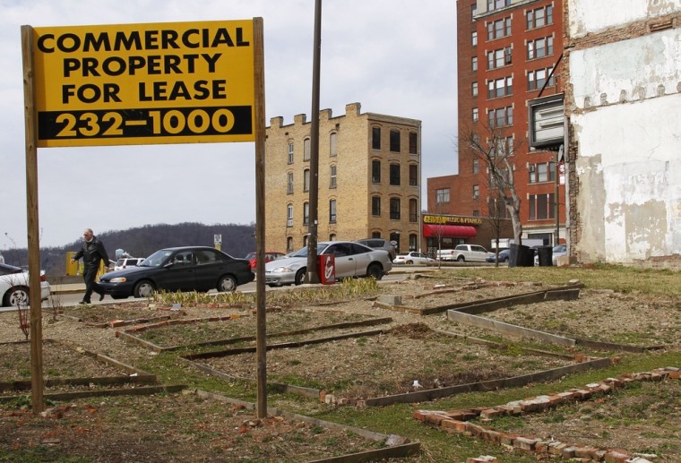 A community garden is seen in a vacant lot left over from one of few demolished buildings on Main Street in Wheeling, West Virginia, in this undated photograph. The city is struggling to find creative ways to deal with their down economy while waiting for new investment in the area, like the proposed Shell cracker plant. Residents are counting on cheap natural gas from the massive reserves in the Marcellus and Utica shale rock formations, which lie under a swathe of the north-eastern United States, to reinvigorate the region's economy. To match Feature APPALACHIA-CHEMICALPLANT/ REUTERS/Jason Cohn (UNITED STATES - Tags: BUSINESS INDUSTRIAL SOCIETY)