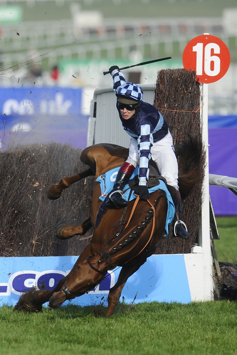 CHELTENHAM, ENGLAND - MARCH 14: Richard Johnson riding Wishful Thinking falls during The sportingbet.com Queen Mother Champion Steeple Chase at Cheltenham racecourse on March14, 2012 in Cheltenham, England. (Photo by Alan Crowhurst/Getty Images)