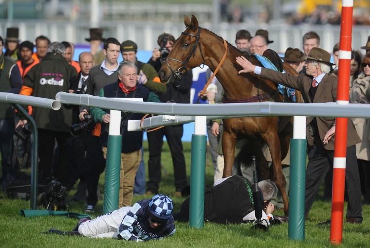 CHELTENHAM, ENGLAND - MARCH 14: Richard Johnson riding Wishful Thinking falls during The sportingbet.com Queen Mother Champion Steeple Chase at Cheltenham racecourse on March14, 2012 in Cheltenham, England. (Photo by Alan Crowhurst/Getty Images)