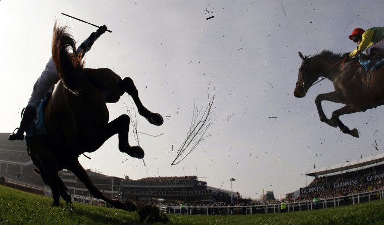 Wishfull Thinking (L) falls, unseating jockey Richard Johnson during the Queen Mother Champion Steeple Chase at the Cheltenham Festival horse racing meet in Gloucestershire, western England March 14, 2012. REUTERS/Stefan Wermuth (BRITAIN - Tags: SPORT HORSE RACING)