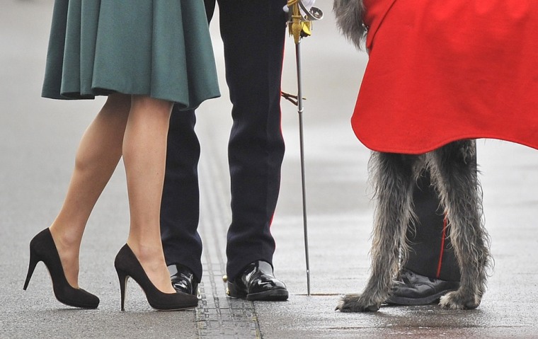 Britain's Catherine, Duchess of Cambridge (L) presents a shamrock to 'Conmael', the mascot Irish hound at Aldershot army base in southern England March 17, 2012. The Duchess of Cambridge was presenting shamrocks to members of the 1st Battalion Irish Guards, a tradition on St Patrick's Day. REUTERS/Toby Melville (ENTERTAINMENT MILITARY SOCIETY ROYALS)