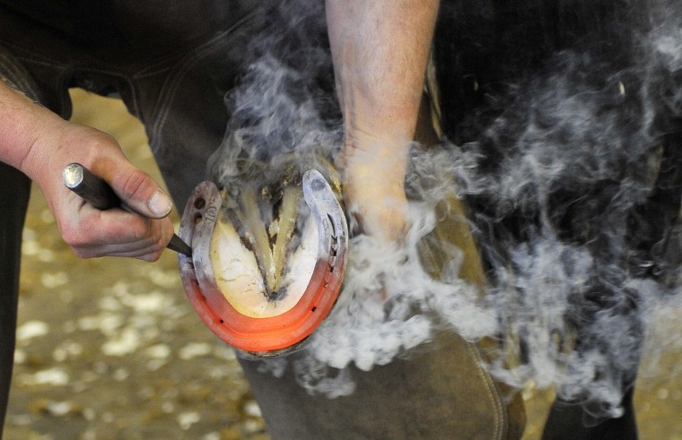 A farrier of the Household Cavalry places a horse shoe at Hyde Park Barracks in London, Britain.