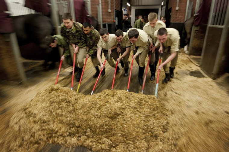 Members of the Lifeguards Household Cavalry perform morning stable duties as they prepare for the Major General's inspection and the state celebrations for Britain's Queen Elizabeth II's diamond jubilee.