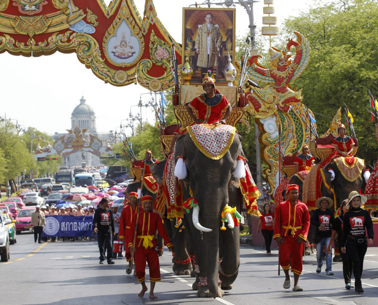 Elephants, one of them carrying a portrait of Thai King Bhumibol Adulyadej, take part in a march with labors to mark International May Day at Royal Plaza in Bangkok, Thailand on May 1, 2012.