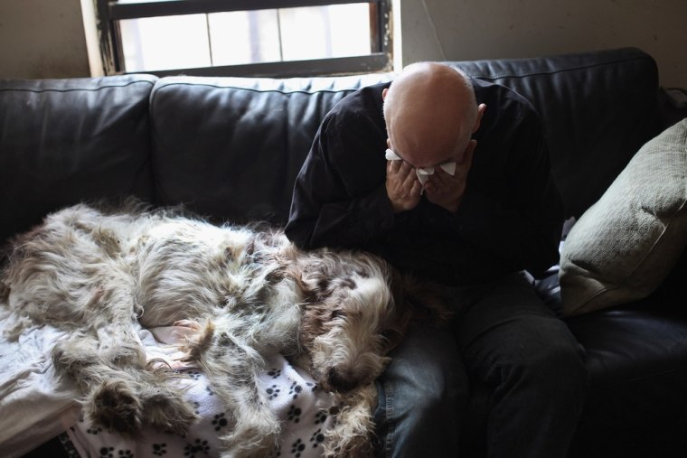 Cris Cristofaro weeps over his dog Dino after veterinarian Wendy McCulloch euthanized the 12-year-old Italian Spinone.
