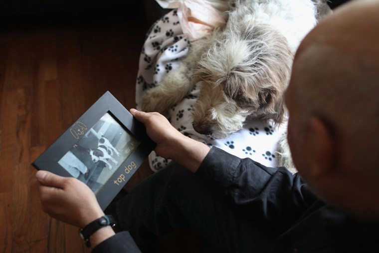 Cris Cristofaro looks over a puppy photo of his dog Dino as veterinarian Wendy McCulloch prepares to perform an in-home pet euthanasia. Cristofaro, a New York City artist, made the difficult decision to end Dino's life when oral cancer became unbearable for his 12-year-old Italian Spinone.