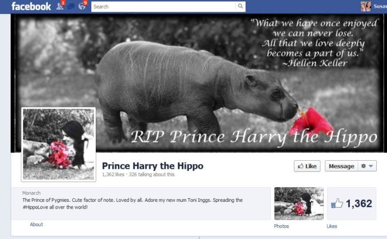 Prince Harry became an overnight sensation, attracting more than 1,300 fans of his Facebook page.