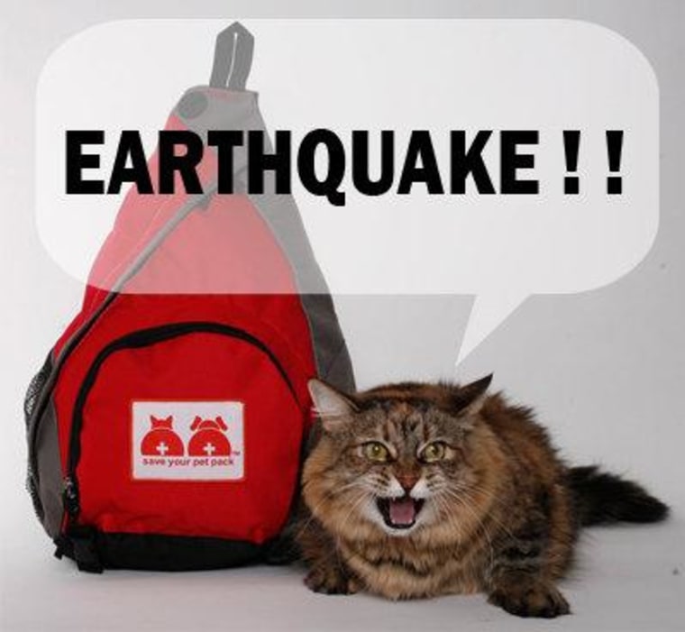 If your cat starts talking during an emergency, try to ignore it and concentrate on staying alive!