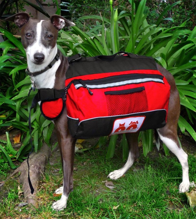 Pets and owners often get separated during emergencies. If your dog is wearing his pet pack, anyone who finds him will be able to use the supplies to take care of your pet.