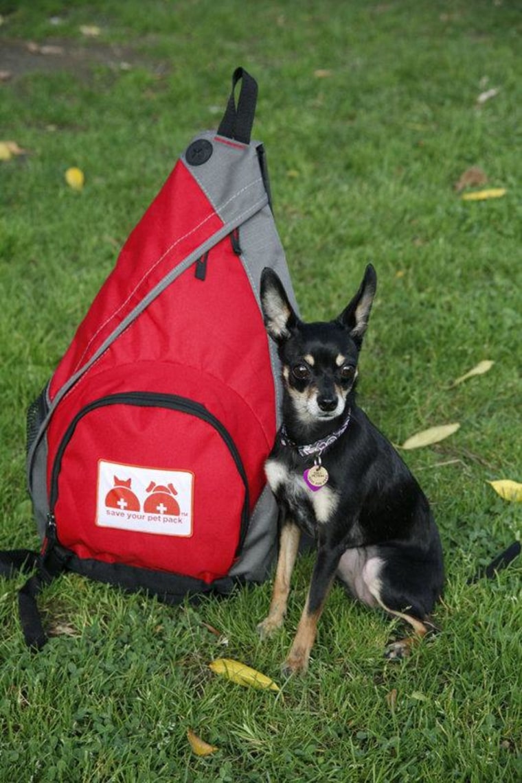 The bag may be bigger than the dog, but in an emergency this little guy will need everything inside this pack.