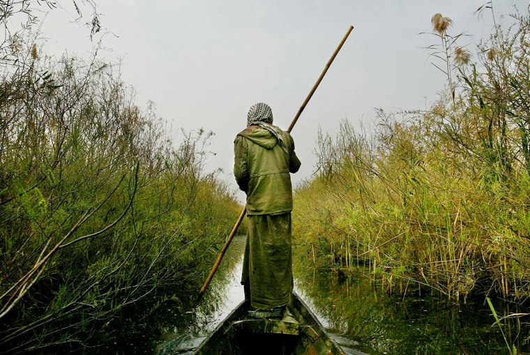 Iraq: Kurmashia Marsh: February 18, 2004: A Marsh Arab poles his canoe through Kirmashiya Marsh in southern Iraq.