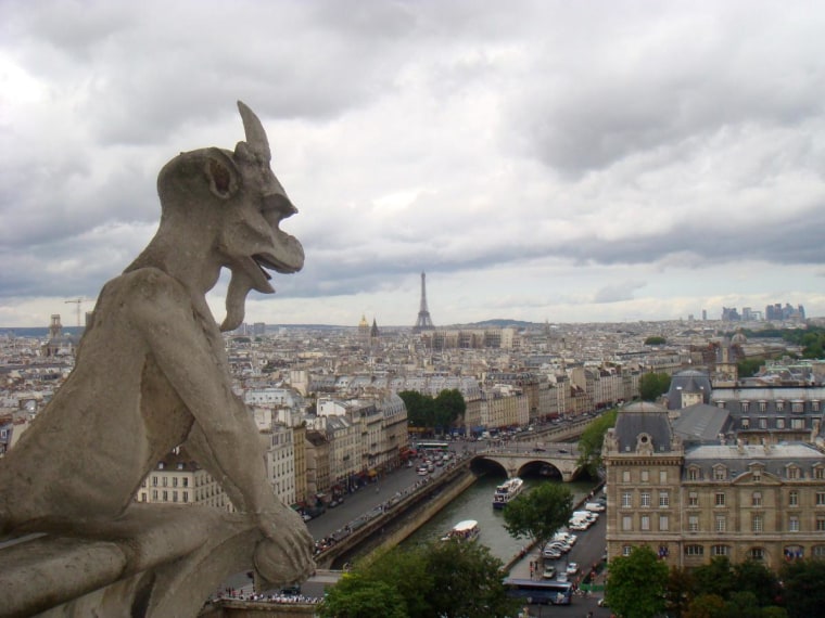On top of the Notre Dame, Paris