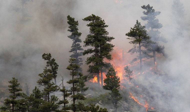 Fire burns through trees in Poudre Canyon northwest of Fort Collins, Colo., on Thursday.