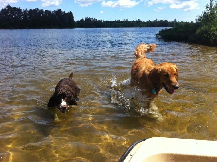Charlie and Riley take a dip in a lake.